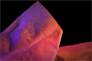 Coloured Tissue